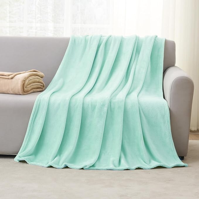 Hansleep Fleece Lake Green Queen Blanket, Super Soft Flannel Fuzzy Plush Cozy Blanket for All Seasons, Lake Green, Queen 90x90 Inches
