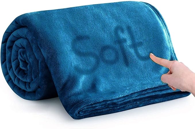IR Imperial Rooms Fleece Blankets Queen Size 90x90 Inches - Super Soft Fluffy Throw Blanket for Sofa and Bed - Warm and Cozy Lightweight 400 GSM Microfiber Bed Throws Blankets (Queen, Teal)