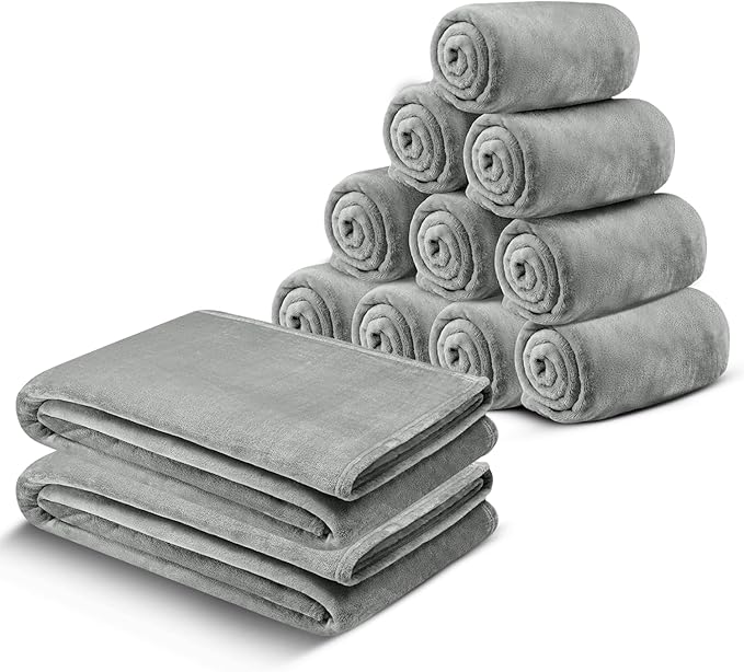 IR Imperial Rooms Fleece Blanket 12 Pack Twin Size 60x80 Inches - Soft Fluffy Throw Blanket for Sofa and Bed - Warm and Cozy Lightweight 400 GSM Microfiber Bed Throws Blankets (Twin, Light Grey)