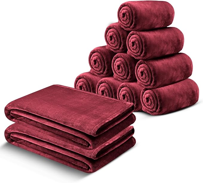 IR Imperial Rooms Fleece Blanket 12 Pack Twin Size 60x80 Inches - Super Soft Fluffy Throw Blanket for Sofa and Bed - Warm and Cozy Lightweight 400 GSM Microfiber Bed Throws Blankets (Twin, Burgundy)