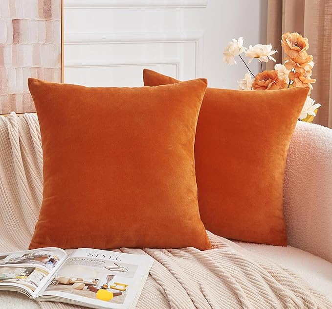 Throw Pillow Covers Burnt Orange Set of 2 16x16 Inch Fall Pillow Covers, Soft Velvet Farmhouse Neutral Decorative Pillowcases for Couch Sofa Bed, Home Boho Decor, Modern Cushion Covers