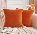 Throw Pillow Covers Burnt Orange Set of 2 22x22 Inch Fall Pillow Covers, Soft Velvet Farmhouse Neutral Decorative Pillowcases for Couch Sofa Bed, Home Boho Decor, Modern Cushion Covers
