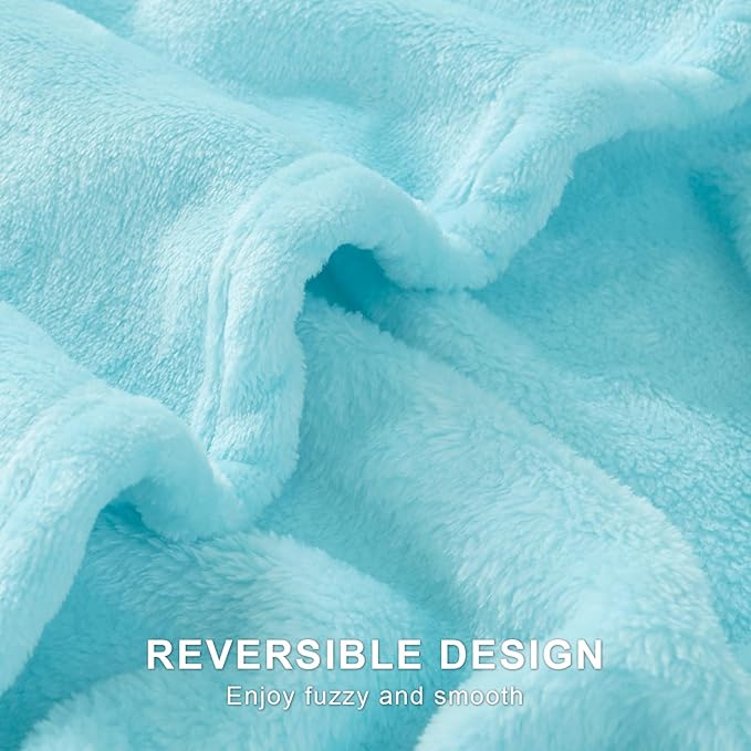 Hansleep Fleece Robin Egg Blue Queen Blanket, Super Soft Flannel Fuzzy Plush Cozy Blanket for All Seasons, Robin Egg Blue, Queen 90x90 Inches