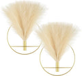 Pretty Jolly Boho Wall Decor, Large Wall-Mounted Metal Wall Decor, Hanging Artificial Pampas Display, Wall Art Living Room, Bedroom, Bathroom, Dining room, 2 Pack Gold Beige