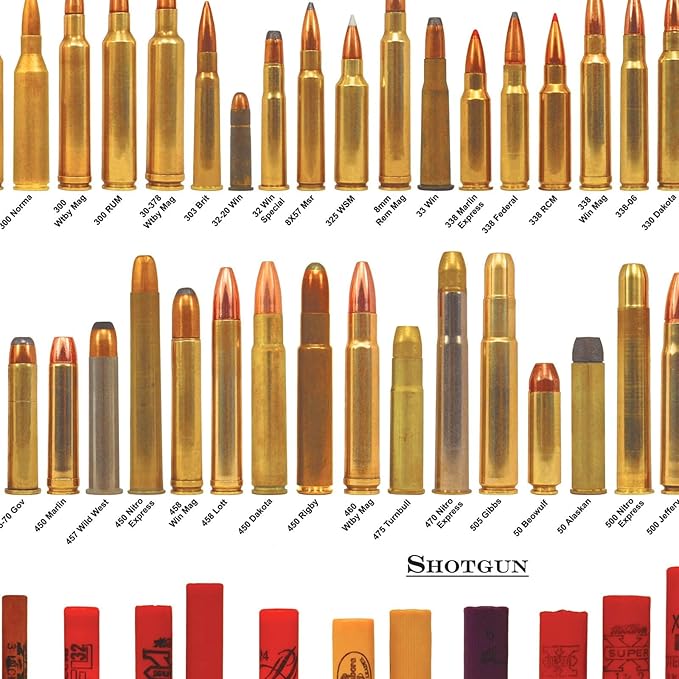 Pennclys American Bullets Wall Art Bullet Chart Poster Canvas Art Prints for Home Room Decor 24x36 Inch Unframed