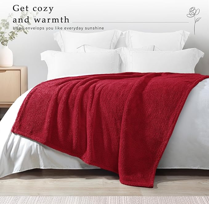 Exclusivo Mezcla Soft Fleece Throw Blanket for Couch, Super Soft Velvet Plush Fleece Blankets, Fuzzy Cozy and Warm for Winter, 50x60 Inches, Deep Red