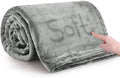 IR Imperial Rooms Fleece Blankets Queen Size 90x90 Inches - Super Soft Fluffy Light Grey Throw Blanket for Sofa and Bed - Warm and Cozy Lightweight 400 GSM Microfiber Bed Throws Blankets
