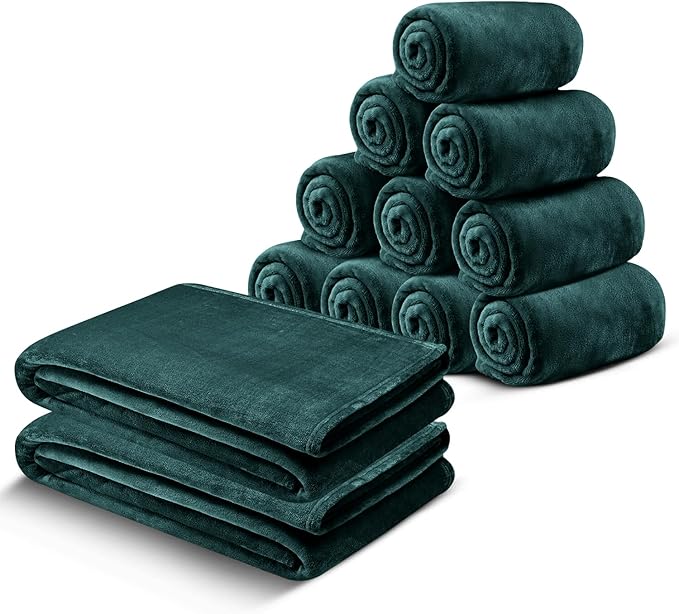 MOONLIGHT20015 Fleece Blanket Twin Size 12 Pack - Soft Cool Fluffy Throw Blanket for Couch & Sofa, Lightweight Luxury 400 GSM Microfiber Bed Blankets and Throws (Twin 60 x 80 Inches, Emerald)
