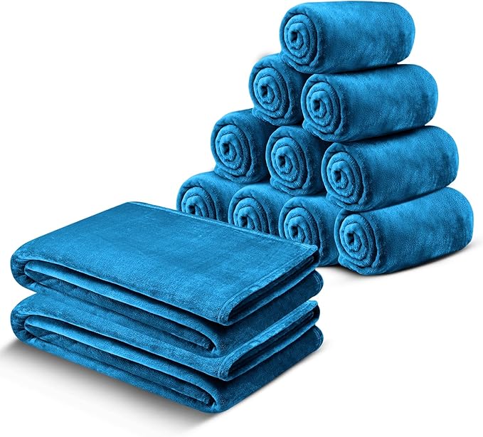 IR Imperial Rooms Fleece Blanket 12 Pack Twin Size 60x80 Inches - Super Soft Fluffy Throw Blanket for Sofa and Bed - Warm and Cozy Lightweight 400 GSM Microfiber Bed Throws Blankets (Twin, Teal)
