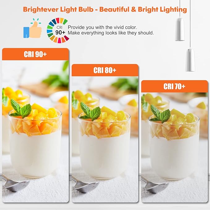 LED Light Bulbs, 100 Watt Equivalent A19 LED Bulbs, 13W 2700K Warm White 1500 Lumens Non-Dimmable Bright E26 Edison Medium Screw Bulbs for Home Bedroom Kitchen Living Room Office Lamp, 10-Pack
