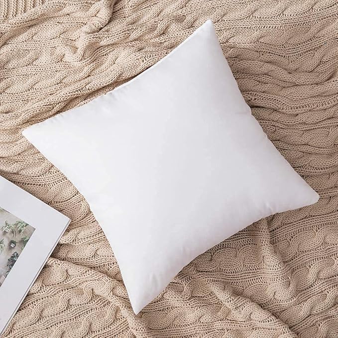 MIULEE Set of 2 Throw Pillow Inserts Premium Pillow Stuffer Square Form for Decorative Cushion Bed Couch Sofa 26x26 Inch