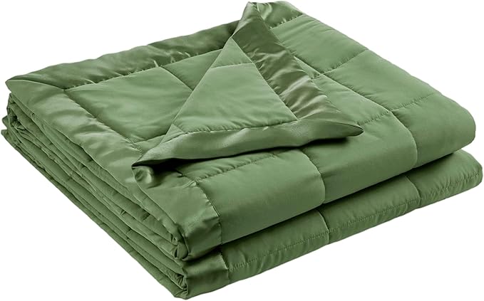 Madison Park Queen Blanket Quilted Microfiber, Satin Binding, 3M Scotchgard Moisture Wicking, Soft and Lightweight Summer Blanket for Couch, Windom, Full/Queen, Green
