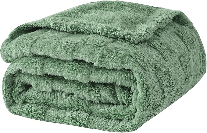 Spring Sage Green Fleece Throw Blanket 50”×60” for Couch Sofa Bed,Super Soft Cozy Plush Microfiber Flannel Blanket with 3D Checkered Design Lightweight for Adults,Woman,Girls