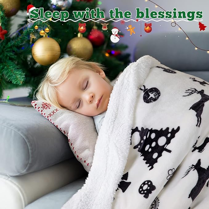 LBRO2M Sherpa Fleece Bed Blanket Queen Size,Christmas Super Soft Fuzzy Plush Warm Cozy Fluffy Microfiber Couch Throw Velvet Double Reversible Luxurious Blankets