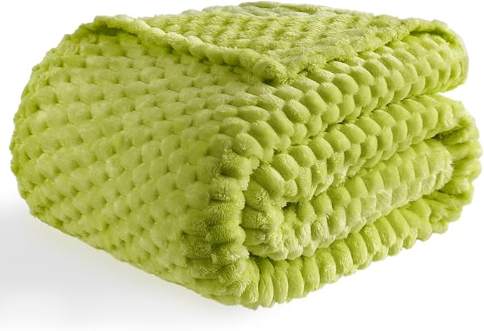 Bnuitland Flannel Throw Blanket, 300 GSM Fleece Cozy Warm Soft Home Decor Lightweight Bed Sofa Blanket for Adults, Suitable for All Seasons(Fruit Green,50X71 inches with Pillow Cover)