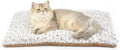 Self Warming Cat Bed, 24" x 18" Self Heating Pet Pad, Double Sided Heated Dog Mat Thermal Blanket for Large Kittens Small Puppy