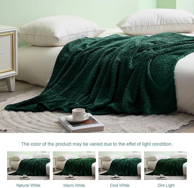 Exclusivo Mezcla Fleece Queen Size Blanket for Bed, 90x90 Inches Soft Cozy Jacquard Flannel Blankets, Lightweight Fuzzy Plush Warm for Women, Forest Green