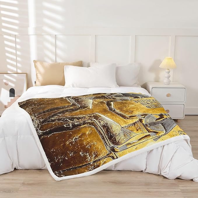 Gold Egyptian Print Blanket Throw Ancient Egypt Style Sherpa Blanket Old Egypt Hieroglyphics Pattern Fleece Blanket For Kids Adults Man Egyptian Civilization Fuzzy Blanket Sofa Decor Baby 30"x40"