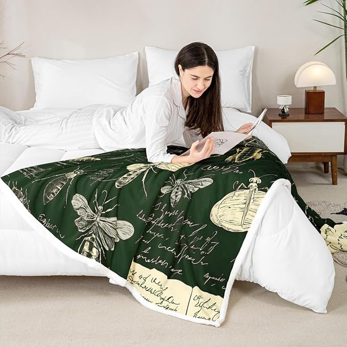 Biology Chalk Blackboard Blanket Throw Throw 50"x60" Insects Hand Written School Classroom Sherpa Blanket Dragonfly Beetle Moth Educational Theme Fuzzy Blanket For Kids Boys Girls Teens Bed Décor