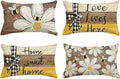 AVOIN colorlife Home Sweet Home Bee Daisy Throw Pillow Covers, 12 x 20 Inch Love Lives Here Spring Summer Stripes Polka Dots Cushion Case for Sofa Couch Set of 4