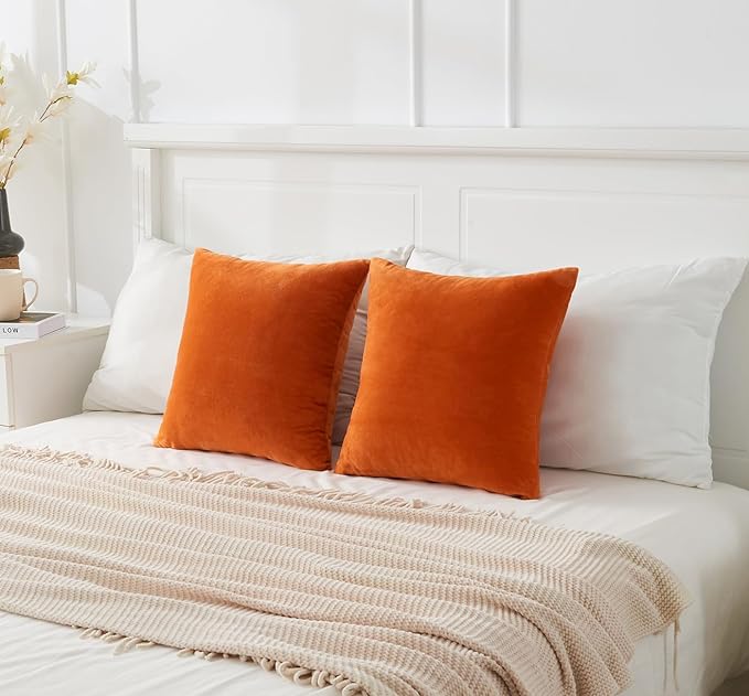 Throw Pillow Covers Burnt Orange Set of 2 18x18 Inch Fall Pillow Covers, Soft Velvet Farmhouse Neutral Decorative Pillowcases for Couch Sofa Bed, Home Boho Decor, Modern Cushion Covers