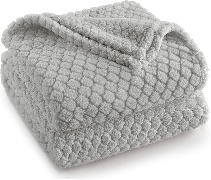 Exclusivo Mezcla Fleece Throw Blanket for Couch and Bed,Extra Soft Warm Decorative Fuzzy Throws for Women,Lightweight Cozy Blankets Size 50x60 Inches, Light Grey