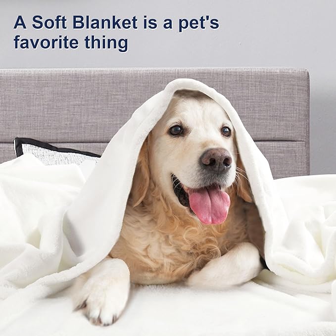 DREAMNINE Extra Large Solid Soft Comfy Fluffy Fleece Bed Blanket King Size 90" x 108", Luxury Decorative Fuzzy Blankets for Bedroom, Big Cozy Shaggy Warm Flannel Blanket for Winter Autumn Pet, White
