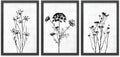 TQianJiang Flower Plant Wall Decor 16"x11" Black And White Botanical Painting Wood Framed Set of 3 Bedroom Office Abstract Wildflower Sign Hanging Art (Black)