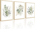 Watercolor Botanical Wall Art Set of 3 Boho Floral Canvas Wall Decor Prints Sage Green Wildflower Wall Art Modern Flower Pictures Botanical Painting for Bedroom Bathroom 12x16 Inch Framed
