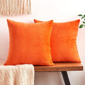 Fall Orange Throw Pillow Covers Decorative Velvet Set of 2 24x24 Inch Pillow Covers, Soft Burnt Orange Pillowcases for Couch Sofa Bed Living Room, Farmhouse Boho Decor, Accent Cushion Covers