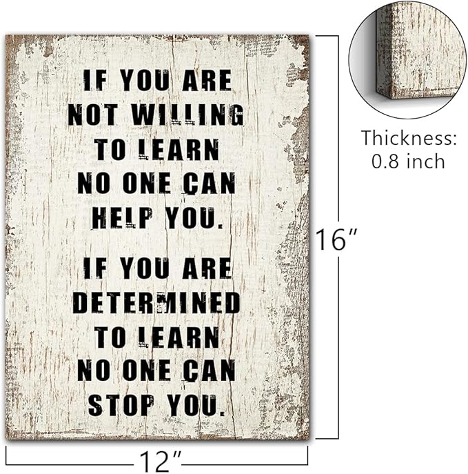 Determined to Learn Motivational Wall Art Zig Ziglar Inspirational Sayings Poster Positive Quotes Wall Decor for School Classroom Library Dorm Home Office Decoration Encouragement Gifts Framed 12x16