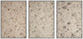 MUDECOR Framed Wall Art Print Set Vintage Floral Botanical in Neutral Tones Illustrations Realism Decorative for Living Room, Bedroom, Office - 16"x24"x3 White