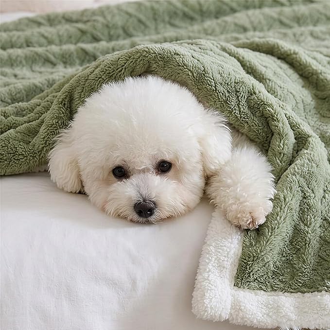 Sherpa Full Size Blanket for Bed - Fleece Soft Cozy Fuzzy Blankets Thick Warm for Winter and All Seasons,Green,Women 80 * 90 Inches
