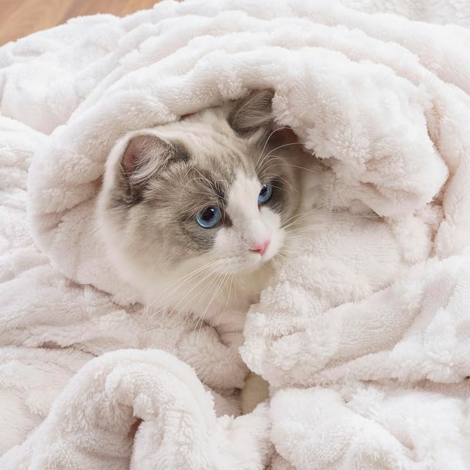 EverGrace Classic Cable Jacquard Sherpa Fleece Throw Blanket for Couch, Soft Cozy Fuzzy Plush Blankets for All Seasons, Reversible Thick Warm Blanket for Bed, Sofa, Bleach White, 50" x 60"