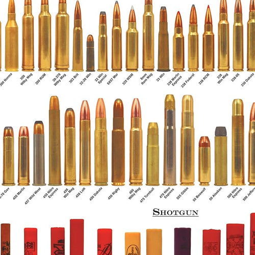 American Bullets Wall Art Bullet Chart Poster Canvas Art Prints for Home Room Decor 16x24 Inch Unframed