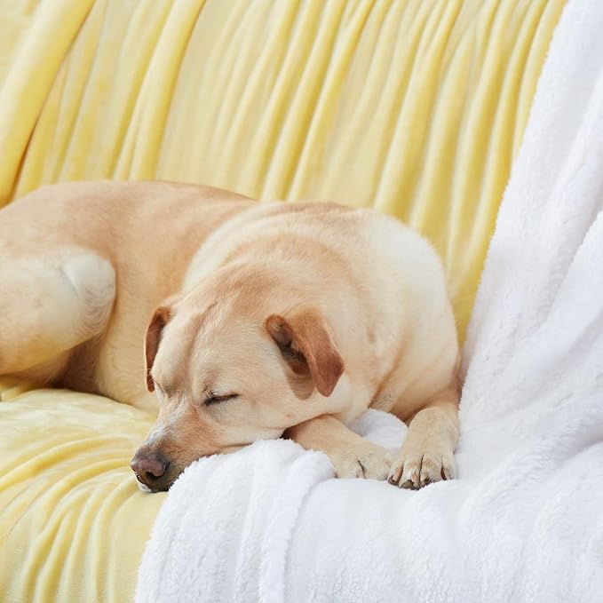 Genteele Sherpa Throw Blanket Super Soft Reversible Ultra Luxurious Plush Blanket, 60 x 70 inches, Yellow/White