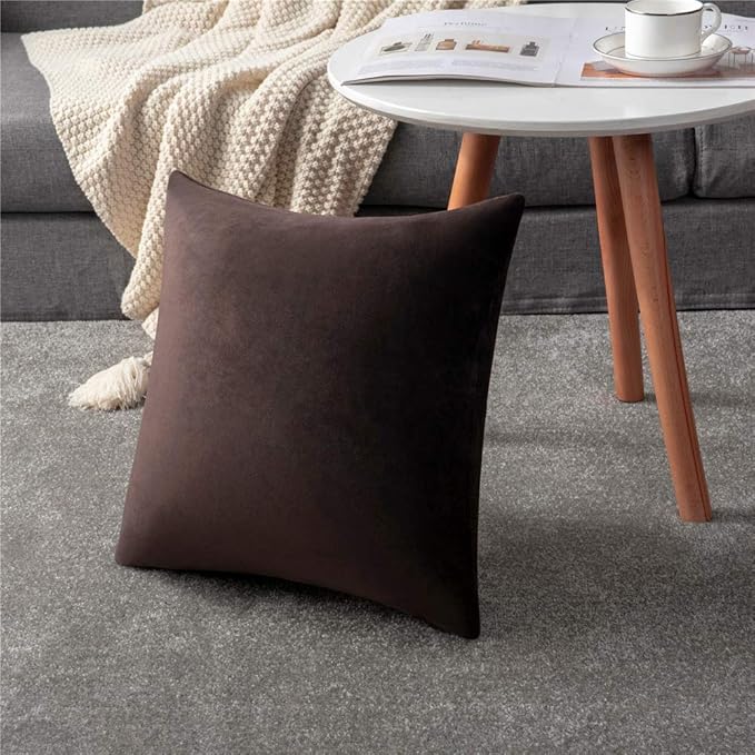 DEZENE Throw Pillow Covers 16x16 Chocolate Brown: Pack of 2 Cozy Soft Velvet Square Modern Luxury Decorative Throw Pillow Cases for Sofa Couch Living Room Bed Home Decor