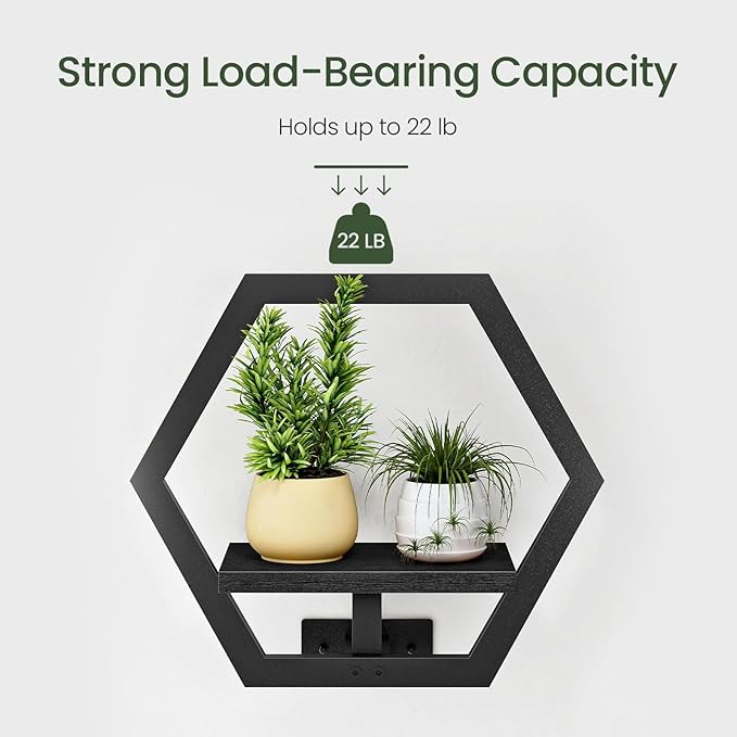 Floating Shelves for Wall, Wall Planters for Indoor Plants Set of 2, Plant Wall Shelf, for Living Room, Bedroom, Kitchen, Home Office, Black TBJ40P2BB