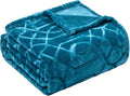 Soft Cozy Fleece Throw Blanket, 50x60 Inches – Lightweight Plush Blanket for Couch, Fuzzy 3D Jacquard Design, for Sofa, Bed & Travel - Teal