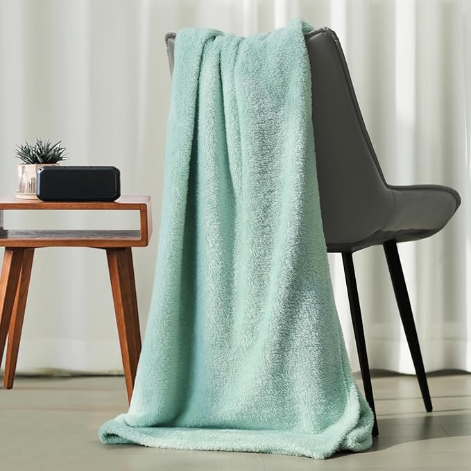 Plush Fleece Throw Blanket for Couch and Bed, Fluffy Fuzzy Cozy Queen-Size Soft Blankets All Season Use (60x80 Inches,Aqua)