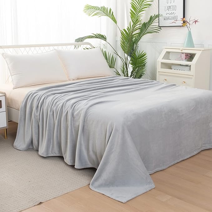 Elegant Comfort Luxury Velvety Feel Blanket, All-Season Lightweight Blanket, Ultra Plush, Soft, Cozy-Fuzzy Flannel Fleece for Couch, Sofa, Bed, Travel, Solid Design, Twin/Twin XL, Silver Gray