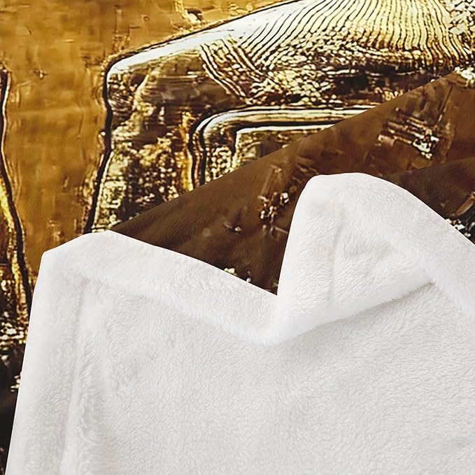 Gold Egyptian Print Blanket Throw Ancient Egypt Style Sherpa Blanket Old Egypt Hieroglyphics Pattern Fleece Blanket for Kids Adults Man Egyptian Civilization Fuzzy Blanket Sofa Decor Twin 60"x80"