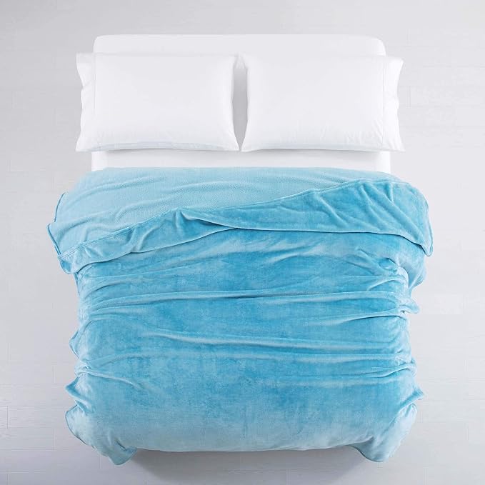MOONLIGHT20015 Fleece Blanket Queen Size - Super Soft Fuzzy Light Blue Throw Blanket for Couch and Sofa - Lightweight Luxury 400 GSM Microfiber Fluffy Bed Blankets and Throws, 90 x 90 Inches (Queen)