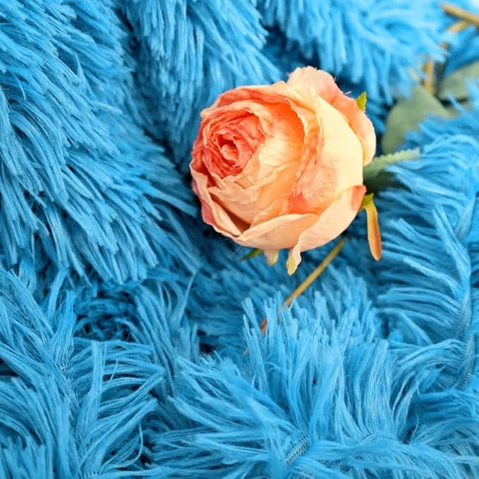 Plush Super Soft Blanket Bedding Sofa Cover Furry Fuzzy Fur Warm Throw Qulit Cozy Couch Blanket for Winter (51x63 Inches, Throw, Sky Blue)