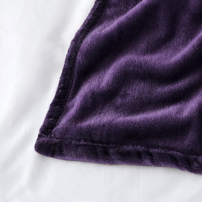 IR Imperial Rooms Fleece Blanket 16 Pack - Super Soft Fluffy Purple Throw Blanket for Sofa and Bed - Warm and Cozy Lightweight 400 GSM Microfiber Bed Throws Blankets, 50x60 Inches (Throw/Travel)