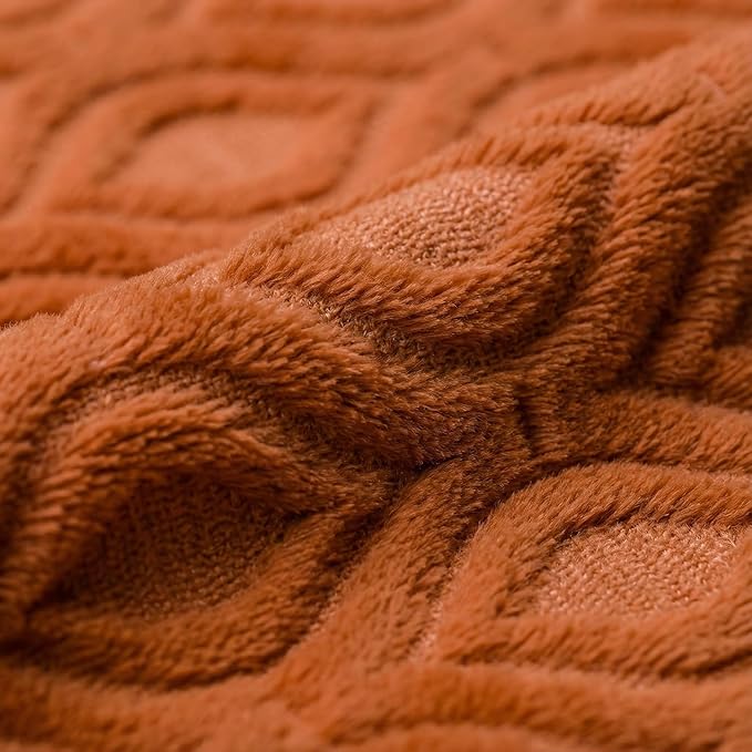 Horaldaily Solid Blanket Throw, Rust Accent Farmhouse Neutral Square Euro Soft Fuzzy Plush Faux Fur Cozy Blankets for Couch Sofa Bed Lounging, Ideal Gifts for Kids Adults Wife Self, 50x60