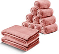 IR Imperial Rooms Fleece Blanket 12 Pack Twin Size 60x80 Inches - Super Soft Fluffy Throw Blanket for Sofa and Bed - Warm and Cozy Lightweight 400 GSM Microfiber Bed Throws Blankets (Twin,Pink)