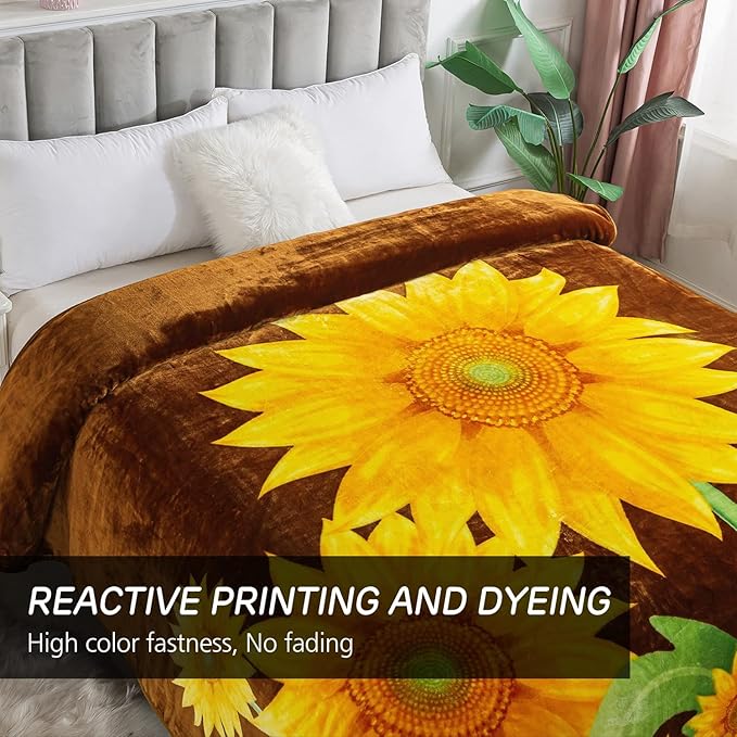 JYK Plush Fleece Blanket Queen Size 91" x 75", 3.7LBs 1 Ply Soft Korean Mink Warm Lightweight Bed Blanket for Spring Fall Autumn Winter