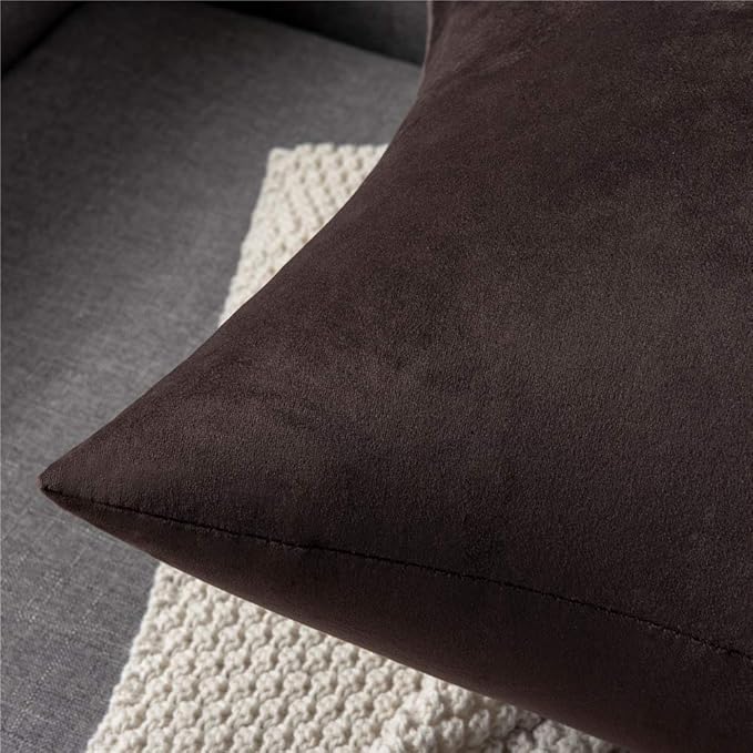 DEZENE Throw Pillow Covers 16x16 Chocolate Brown: Pack of 2 Cozy Soft Velvet Square Modern Luxury Decorative Throw Pillow Cases for Sofa Couch Living Room Bed Home Decor