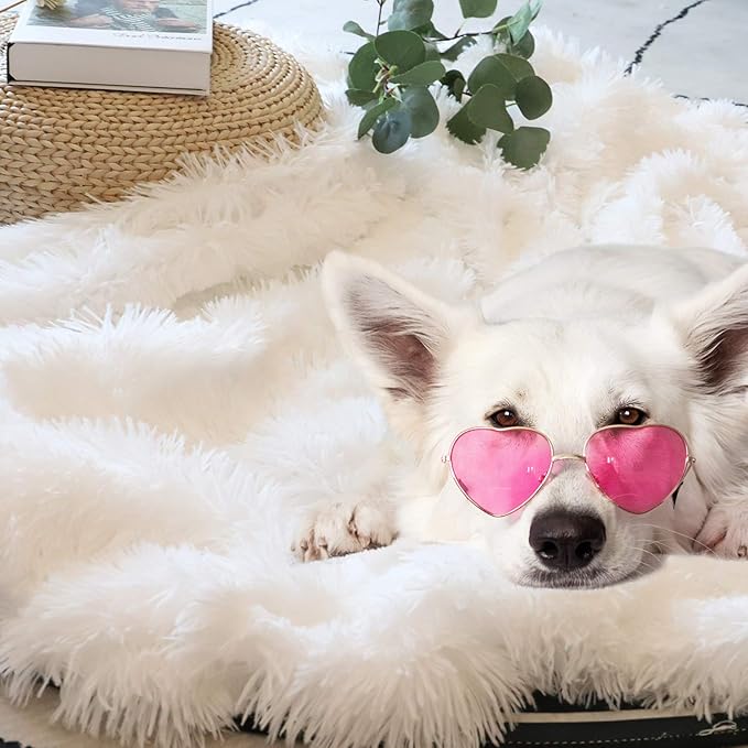Tuddrom Decorative Extra Soft 100% Polyester Blanket Queen Size 80"x90",Solid Reversible Fuzzy Fluffy Plush Fur Blanket for Couch Sofa Bed,Pure White